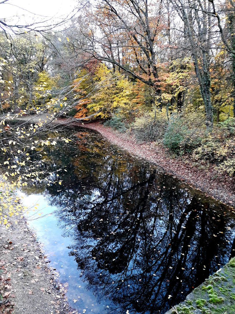 Kein herbstliches Spiegelei, 