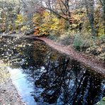 Kein herbstliches Spiegelei, 