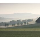 KEIN Herbstnebel-Serienbild