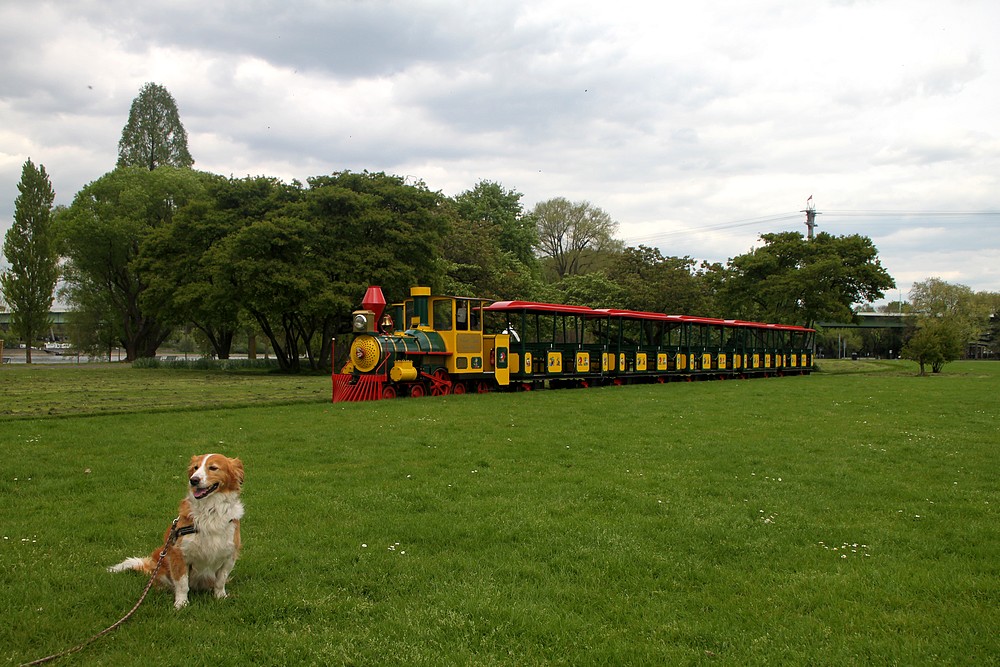 Kein Interesse an der Eisenbahn