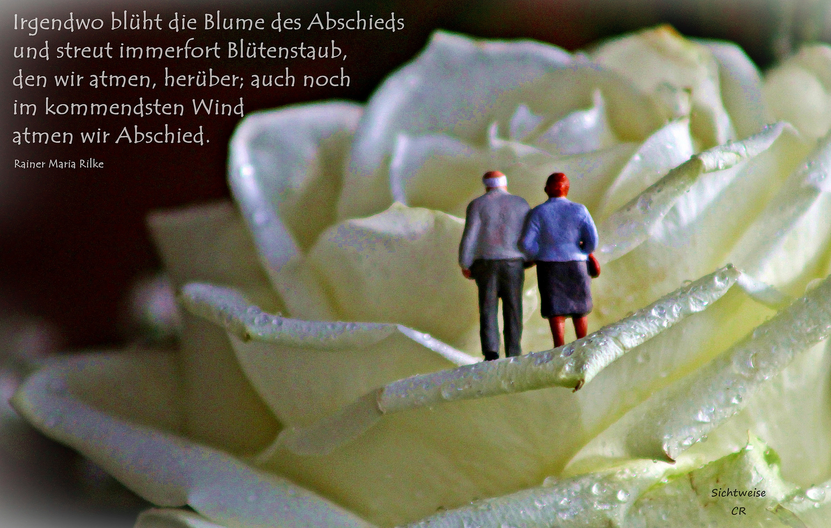 Kein Leben Ohne Abschied Foto Bild Spezial Trauer Tot Bilder Auf Fotocommunity