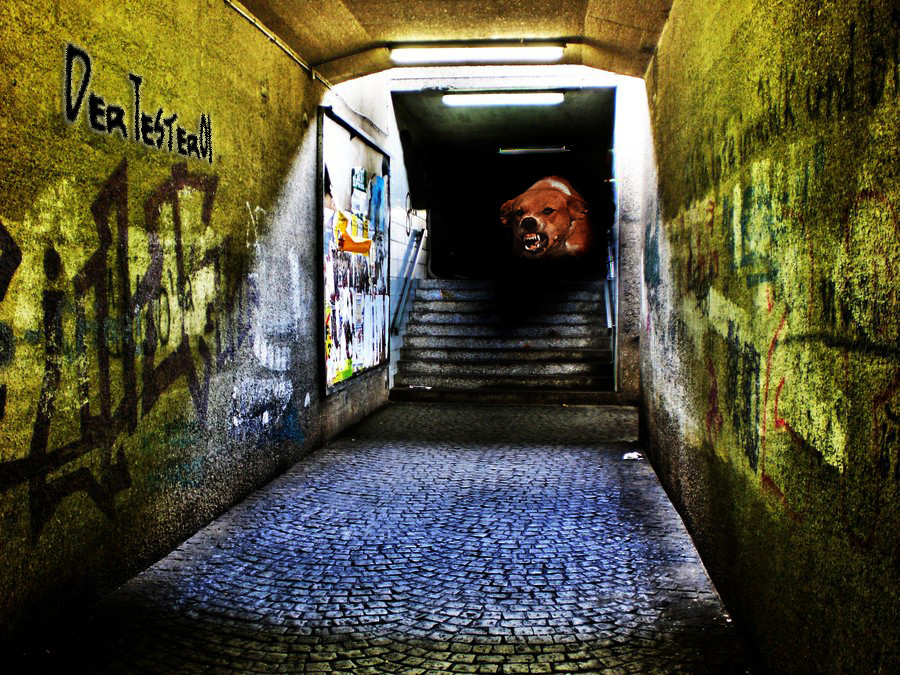 Kein Licht am Ende des Tunnels