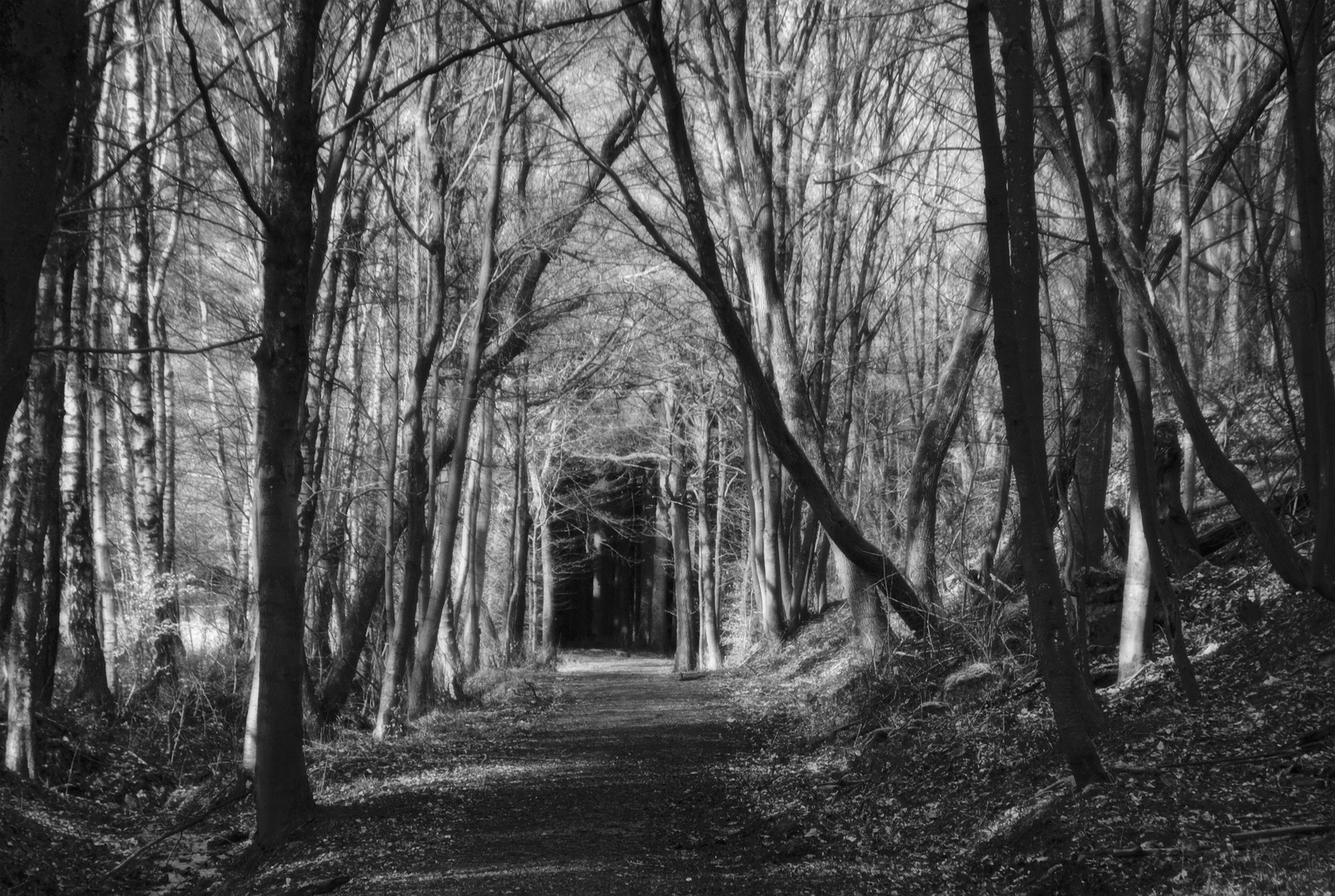 Kein Licht am Ende des Tunnels (B.2017-03d.007)