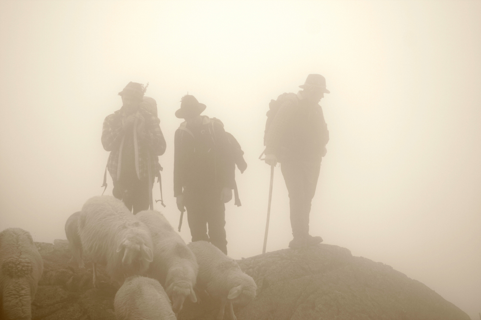 Kein Licht - nur Nebel und Sishouetten