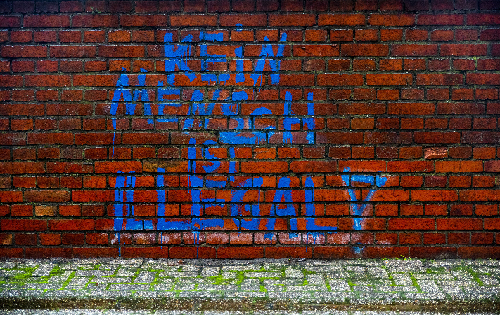 KEIN MENSCH IST ILLEGAL !