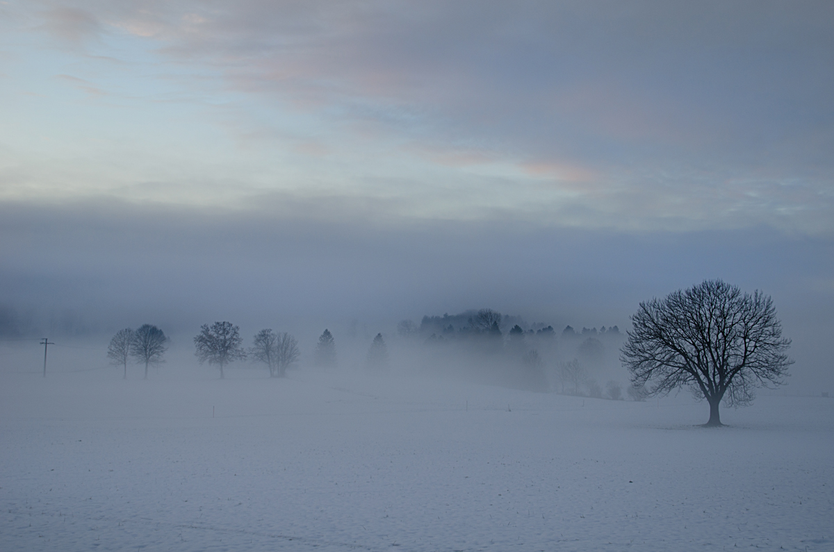 Kein Nebel des Grauens