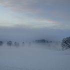 Kein Nebel des Grauens