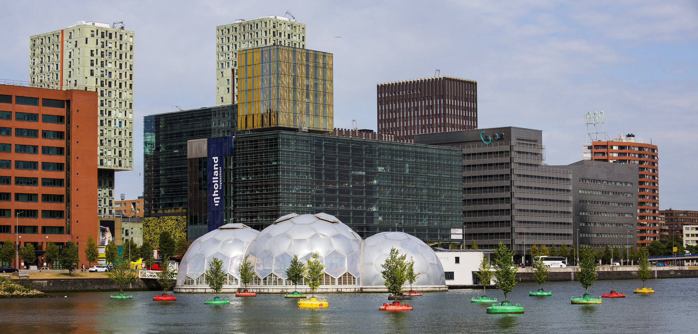 Kein Platz für Bäume in der Stadt