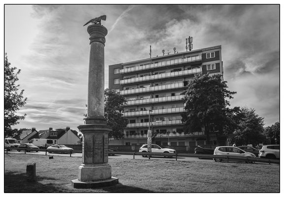 Kein Platz für wilde Tiere