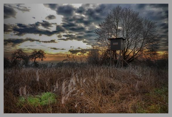 Kein Reh kein Jäger alles OK