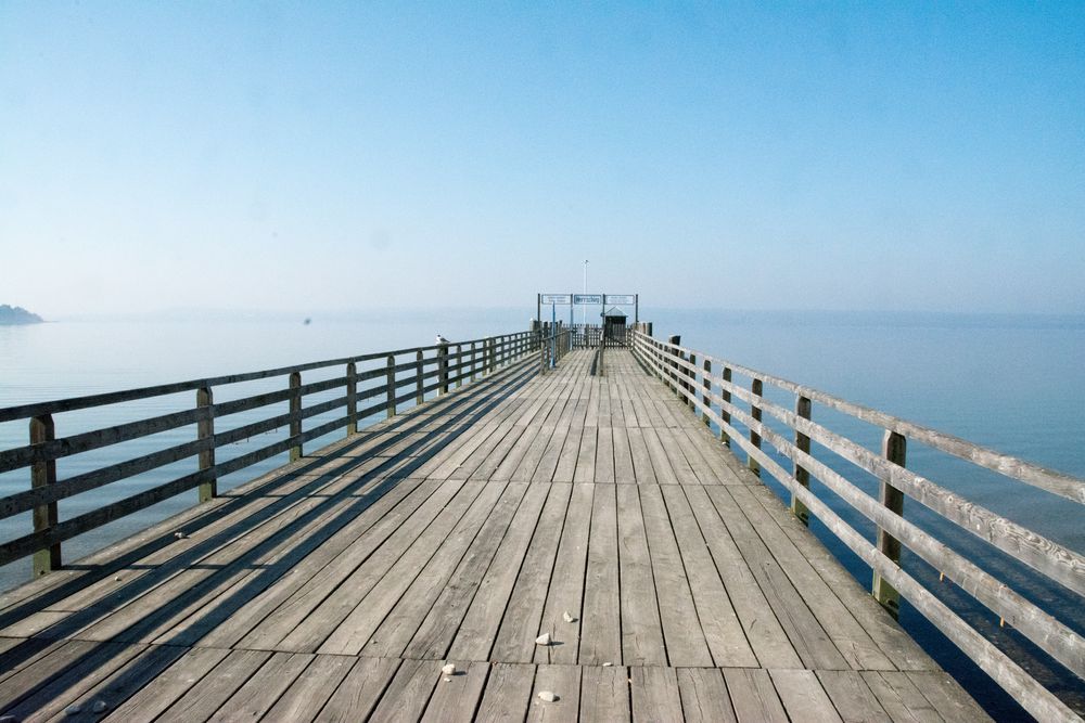 Kein Schiff wird kommen - Frühlingserwachen