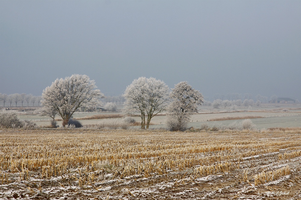 Kein Schnee ...