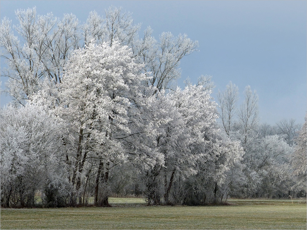 Kein Schnee bei uns ...