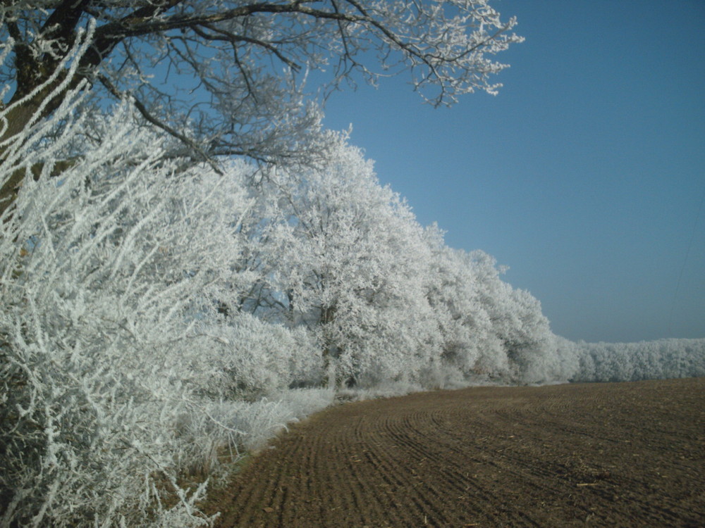 Kein Schnee.........