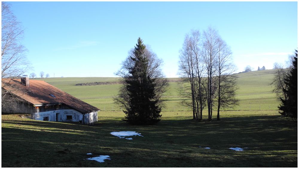 kein Schnee im Jura