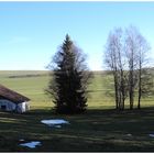 kein Schnee im Jura