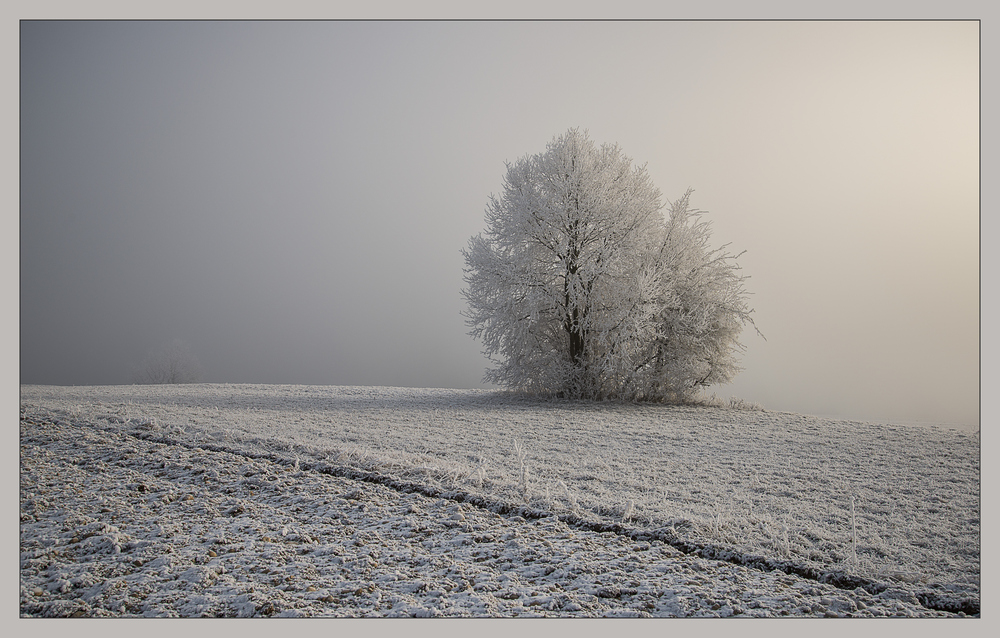 Kein Schnee in Sicht -