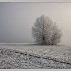 Kein Schnee in Sicht -