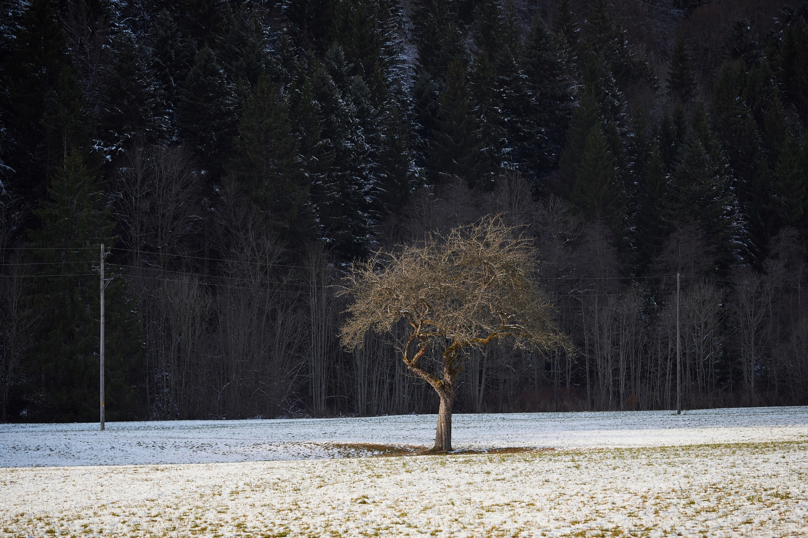 kein Schnee mehr