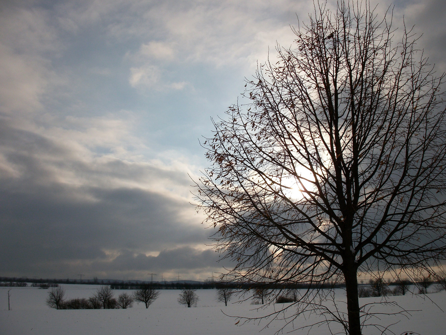 Kein Schnee mehr in diesem Jahr