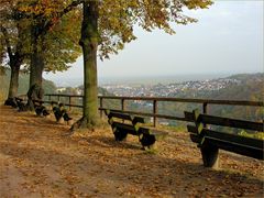 (K)ein schöner Ausblick?!