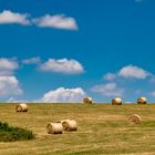 Kein schöner Land (beau pays)