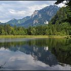 (kein Schwan im) Schwanensee