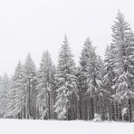 kein Schwarz-weiss Foto ... :-)