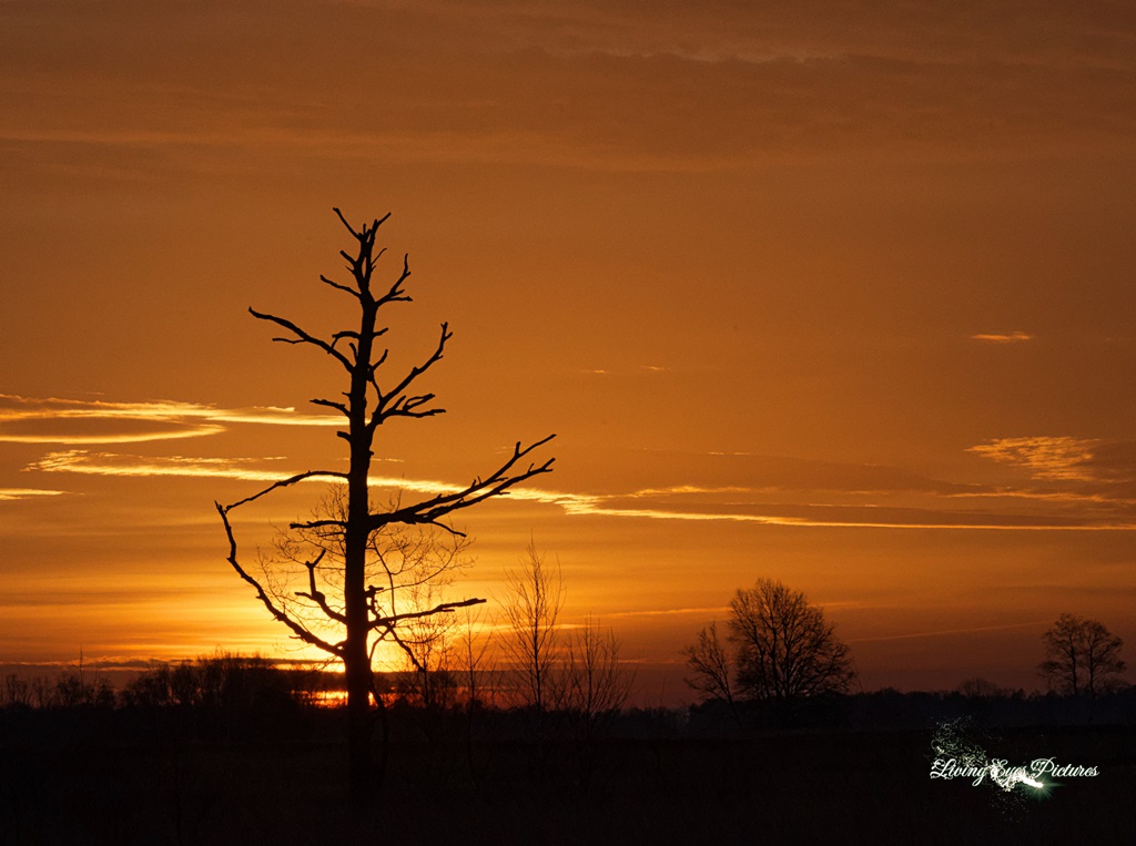 Kein Sonnenaufgang in Afrika sondern im Moor