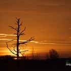 Kein Sonnenaufgang in Afrika sondern im Moor