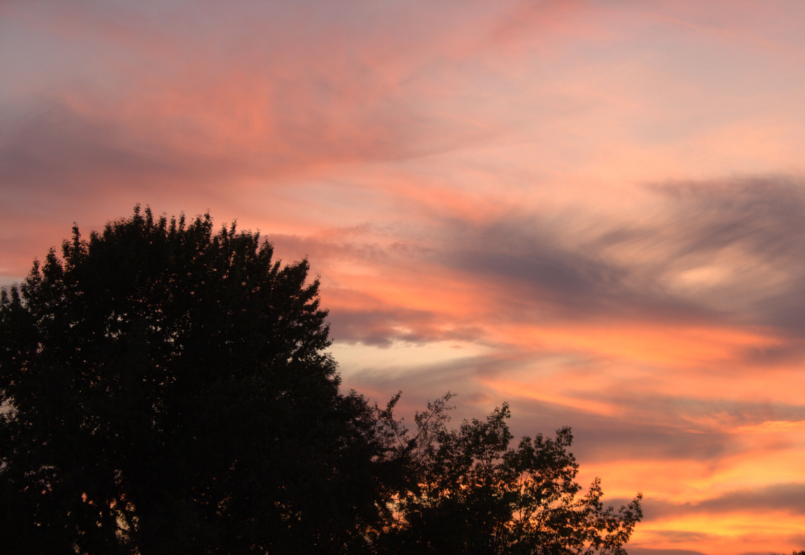 Kein spektakulärer Südseehimmel...