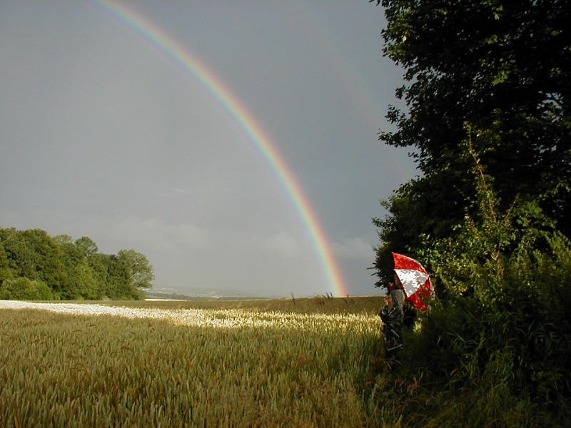 kein Spitzweg