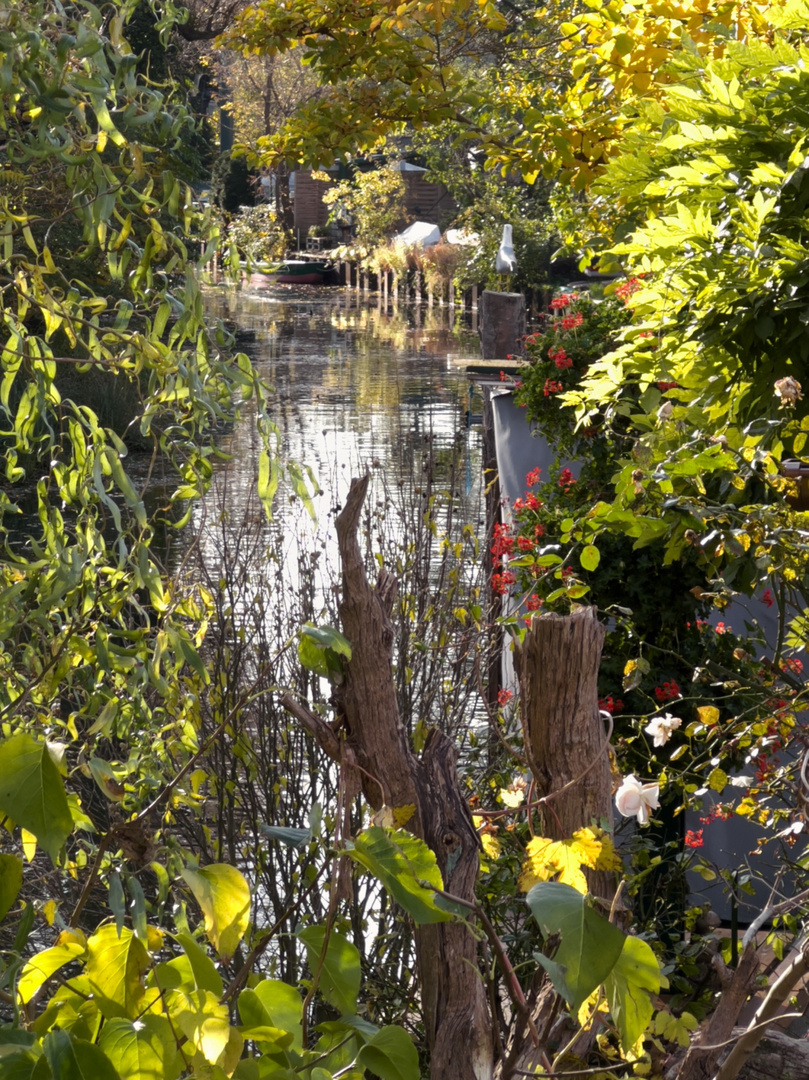 Kein Spreewald Idyll ...