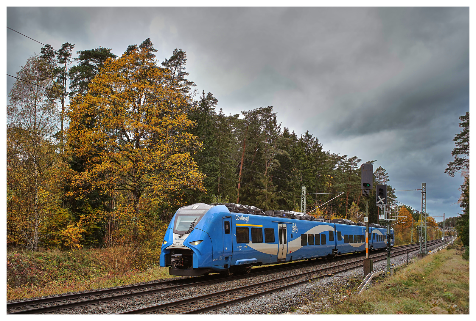 Kein Steinpilz, kein Reizker und kein Güterzug