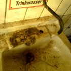 kein trinkwasser