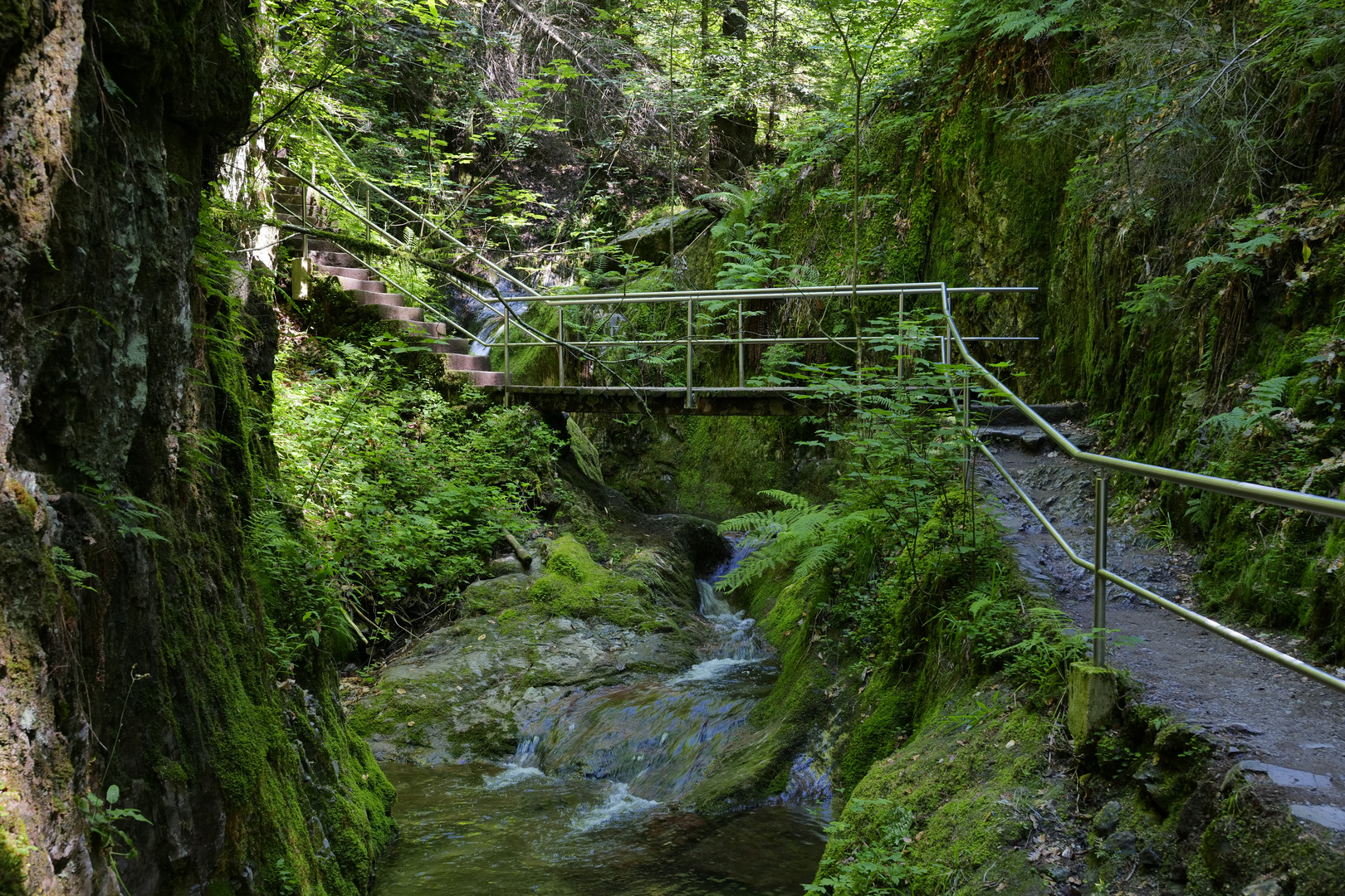 Kein Tropischer Regenwald