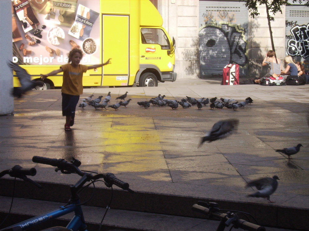 Kein Vogel fliegt zu hoch, wenn er mit seinen eigenen Flügeln fliegt