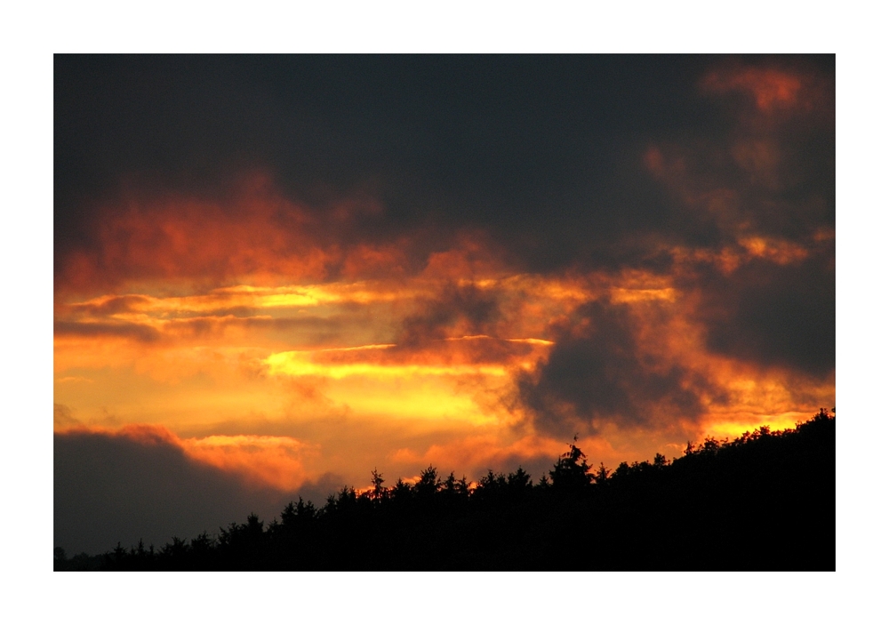 Kein Waldbrand