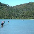 "Kein" Warten auf Ebbe im Abel Tasman NP