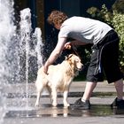 (K)ein Wasserspaß...