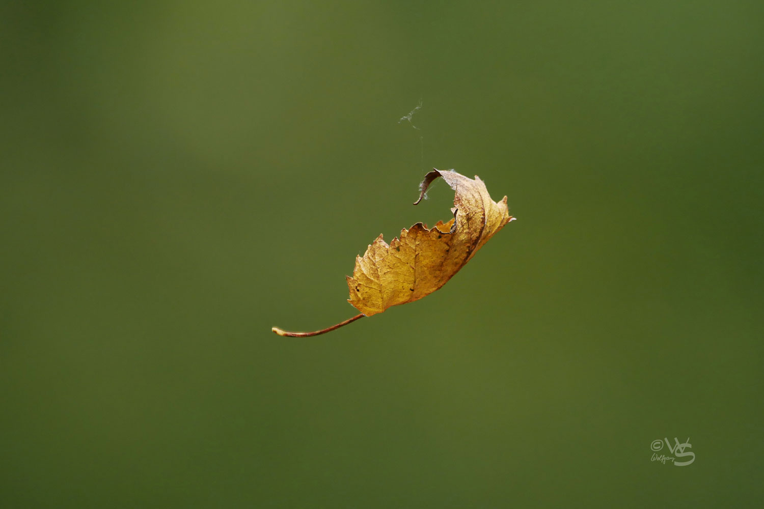 Kein Wind...