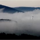 Kein Wind, dafür Nebel