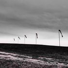 Kein Wind ist demjenigen günstig, der nicht weiß, wohin er segeln will.