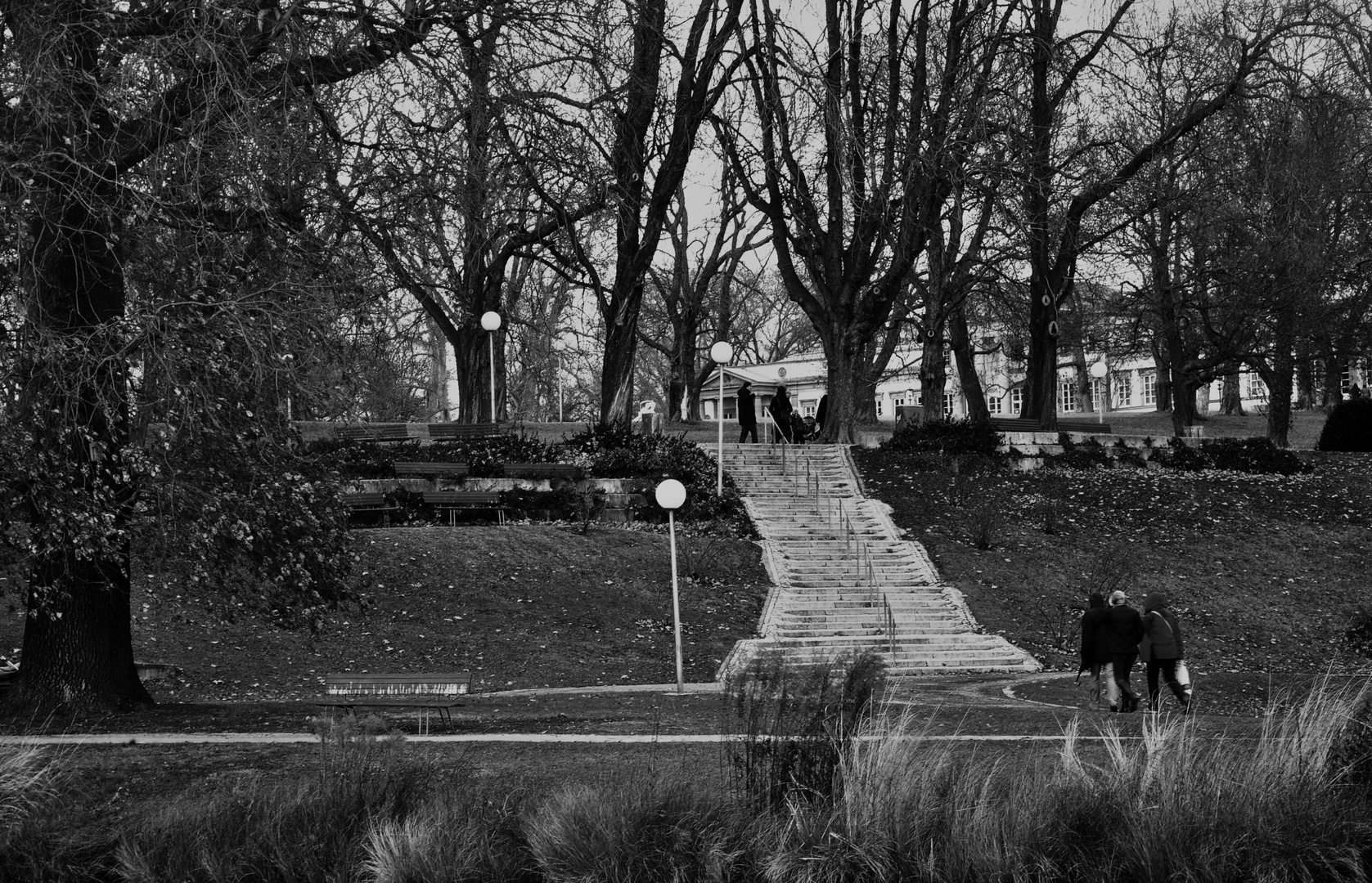 kein Winter im Park....