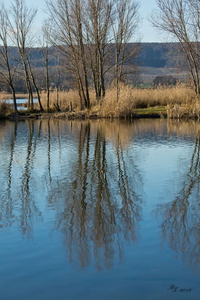 Kein Winter in Sicht