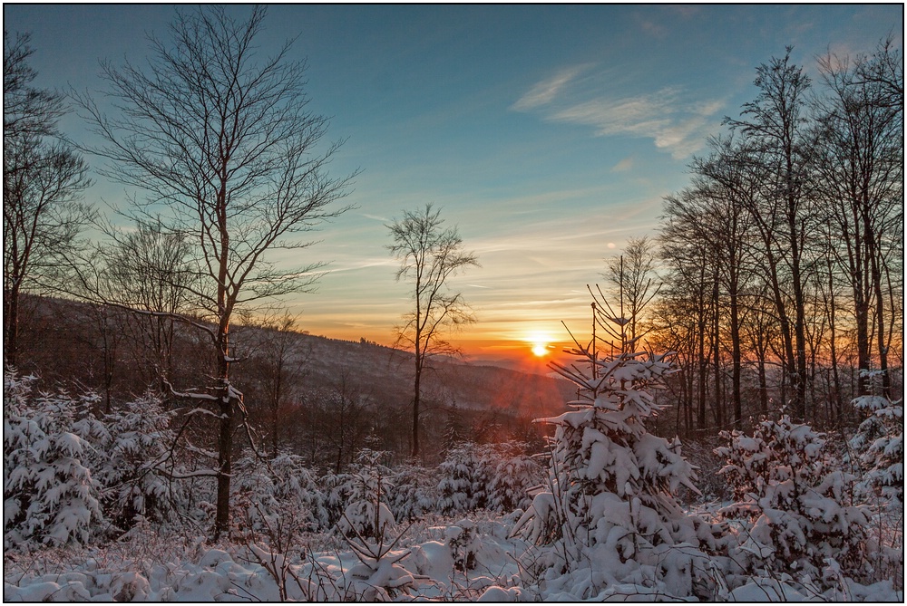 Kein Winter in Sicht...