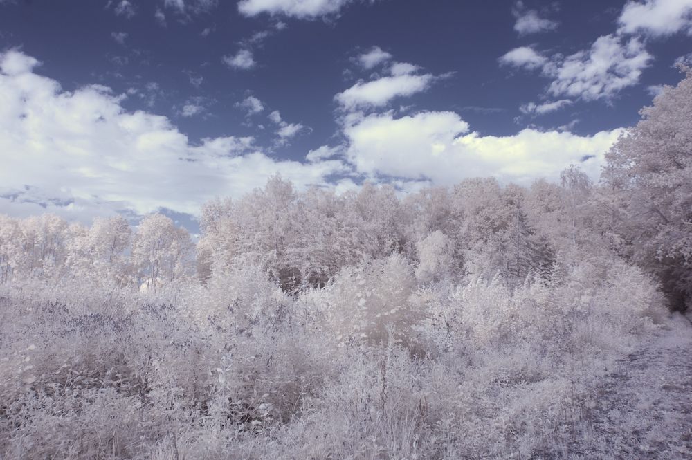 (K)ein Wintermärchen