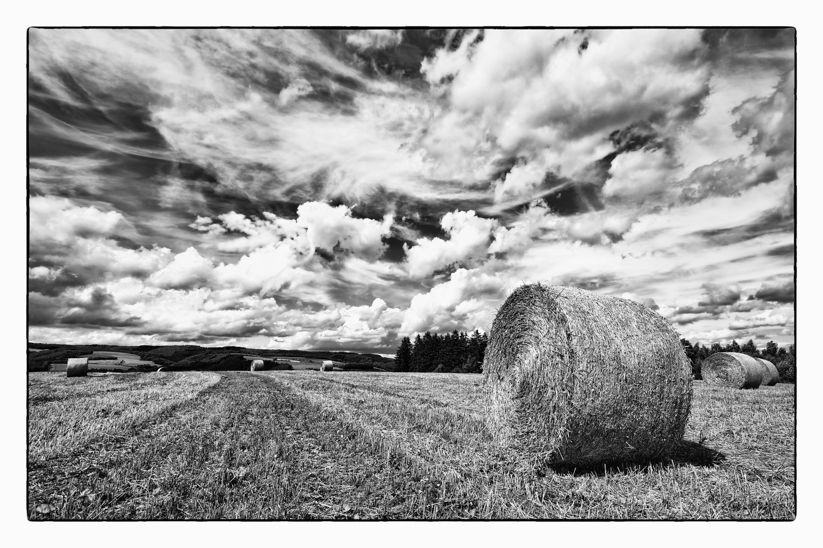 Kein Zweifel - Eifel in S/W