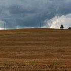 Kein Zweifel mehr: Der Herbst ist voll da.