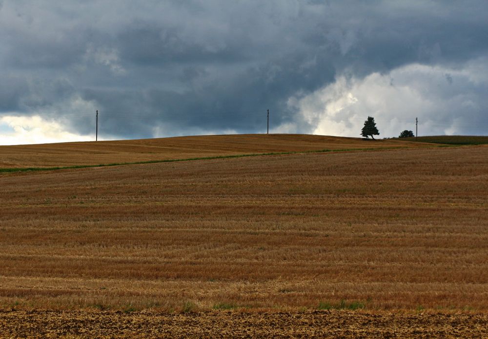 Kein Zweifel mehr: Der Herbst ist voll da.